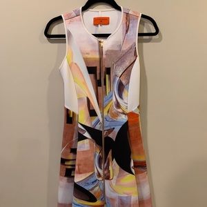 Clover canyon stunning dress